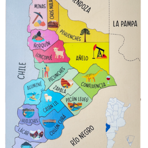 Encastre Prov.  Neuquén madera16 piezas + 6 años